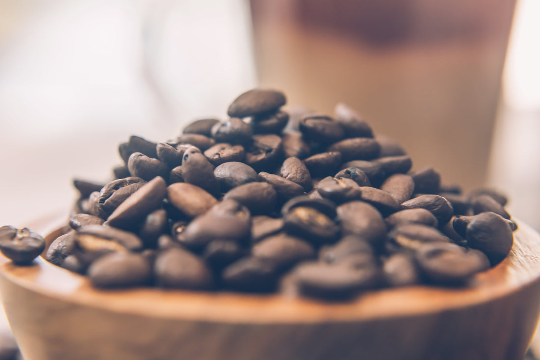 Why Freshly Roasted Coffee Beans Are the Best Choice